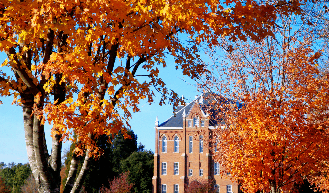 How to transfer colleges: comprehensive guide