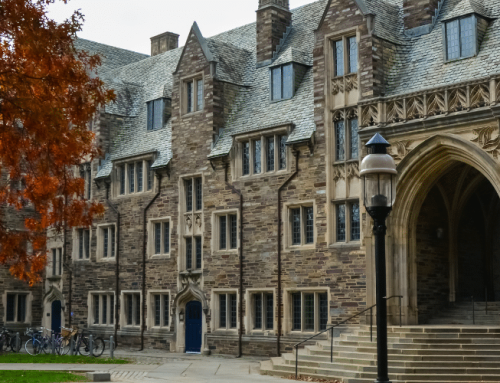 Ivy Day 2026: Letter from our CEO